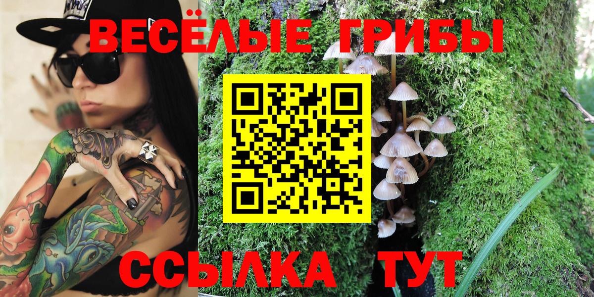 Галлюциногенные грибы Magic Shrooms Владивосток