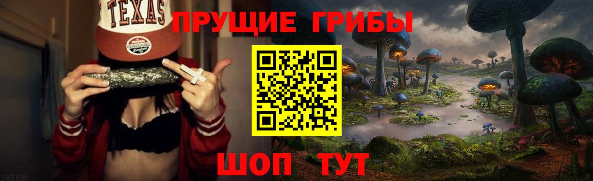 Псилоцибиновые грибы MAGIC MUSHROOMS  Вход с VPN  Владивосток 